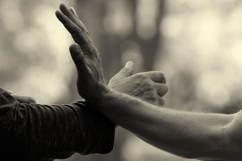 Tai Chi Movements